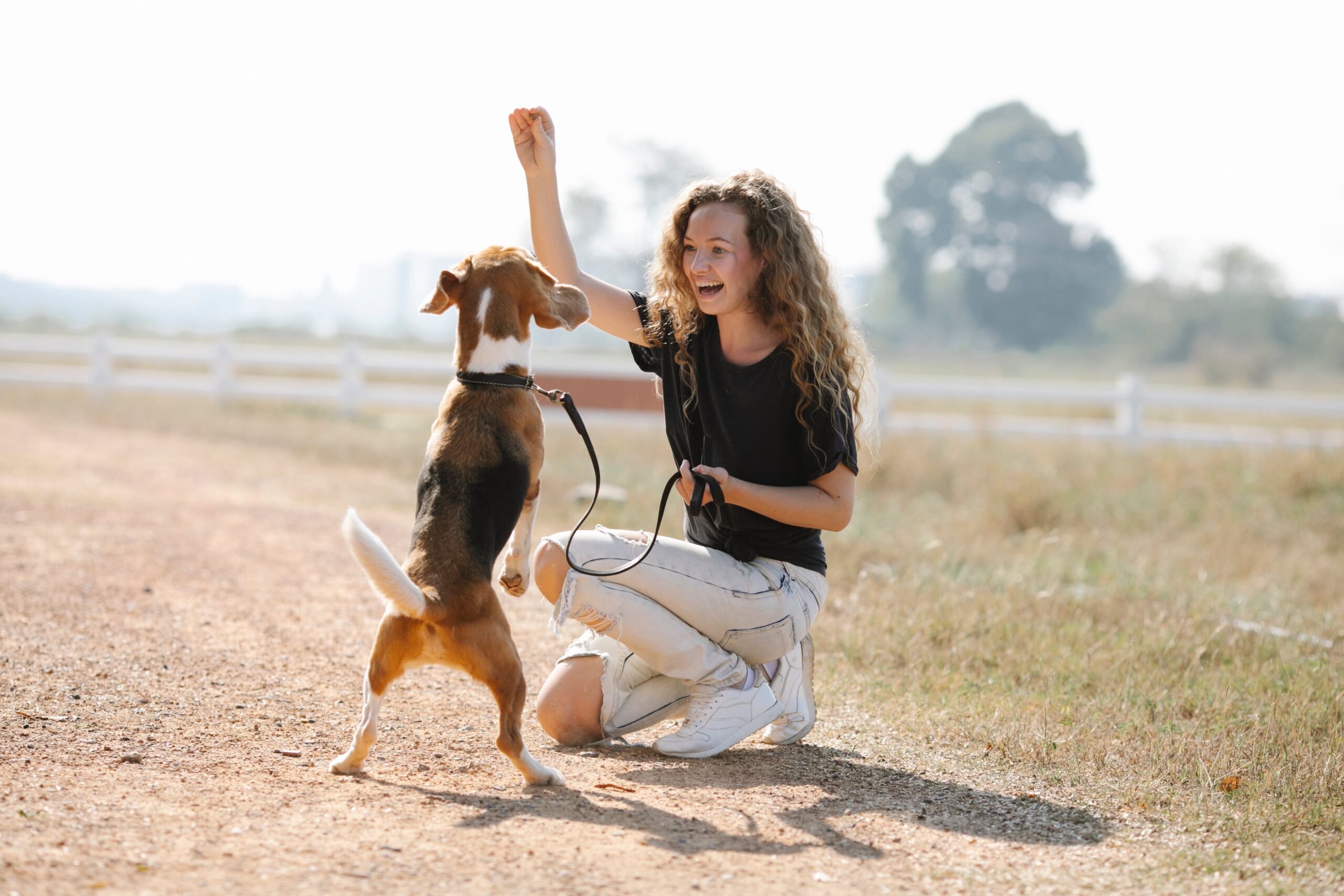 A young lady teaching her dog a trick with a treat in hand.