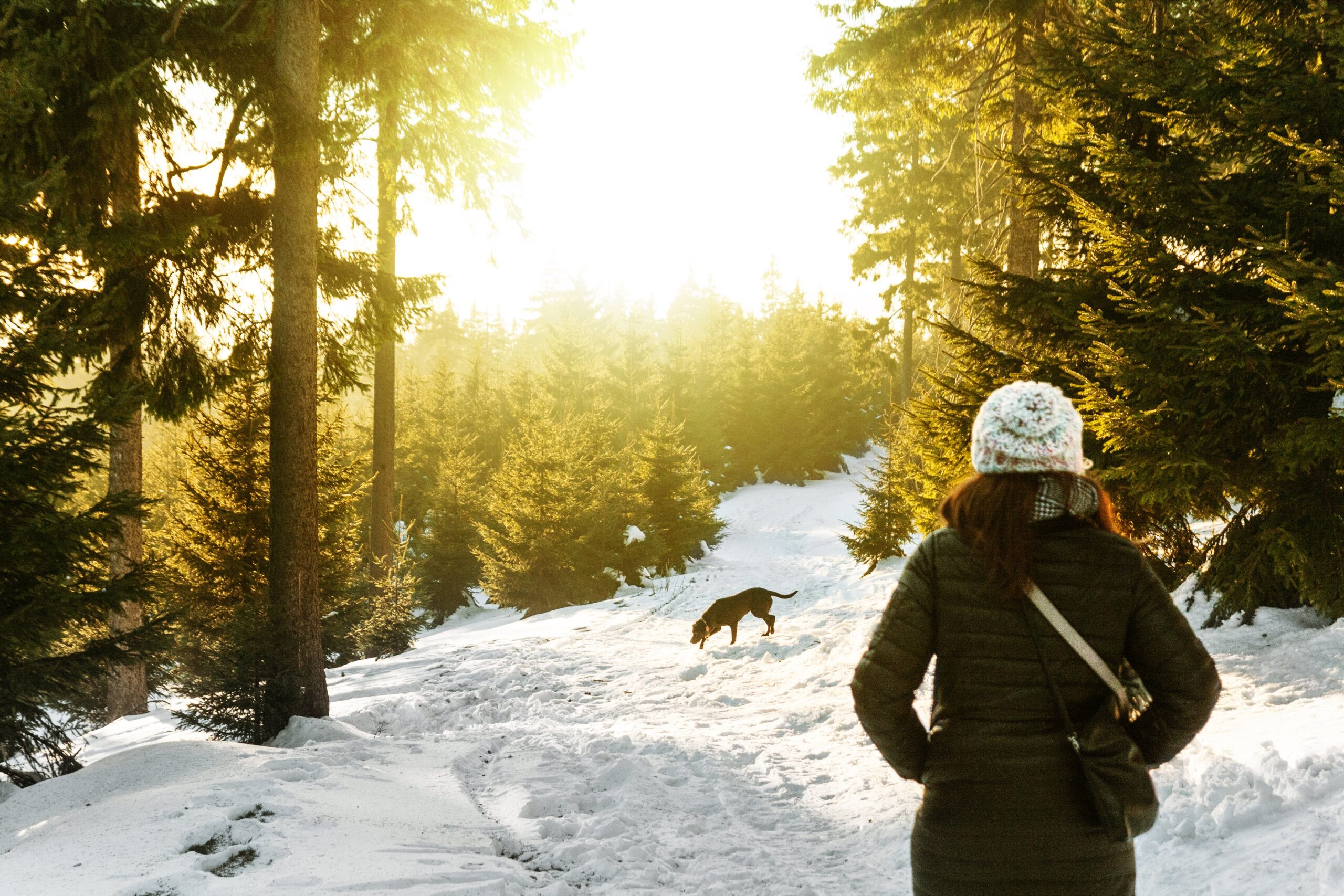 a dog playing on a snowy hillside while his owner looks on.